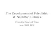 The Development of Paleolithic & Neolithic Cultures From the Dawn of Time to c. 3500 BCE