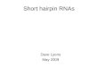 Short hairpin RNAs Dave Lyons May 2009. Short hairpin RNAs Discovery of interfering RNAs shRNAs in biology shRNAs in medicine