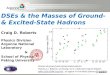 DSEs & the Masses of Ground- & Excited-State Hadrons Craig D. Roberts Physics Division Argonne National Laboratory & School of Physics Peking University