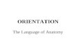 ORIENTATION The Language of Anatomy