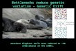 Bottlenecks reduce genetic variation – Genetic Drift Northern Elephant Seals were reduced to ~30 individuals in the 1800s