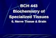 BCH 443 Biochemistry of Specialized Tissues 6. Nerve Tissue & Brain