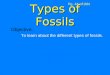 Types of Fossils Pg. 44 of IAN Objective: To learn about the different types of fossils