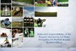 Roles and responsibilities of the Respect Steward by Ian Binks Hampshire FA Welfare & Lead Respect Officer