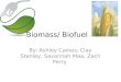 Biomass/ Biofuel By: Ashley Caines, Clay Stanley, Savannah Maa, Zach Perry