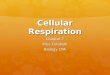 Cellular Respiration Chapter 7 Miss Colabelli Biology CPA