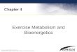 Chapter 4 Exercise Metabolism and Bioenergetics. Purpose To provide basic information on energy metabolism and bioenergetics that will be useful in helping