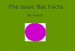 The basic Bat Facts By Grace. What is a Bat? Bats are mammals They give birth to live young They nurse their young They have fur They are warm blooded