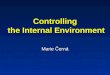 Controlling the Internal Environment Marie Černá