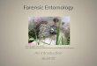 Forensic Entomology An Introduction Biol450  t0ylOJABgHSS1fcV5jewg2zyw