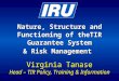 Nature, Structure and Functioning of theTIR Guarantee System & Risk Management Virginia Tanase Head – TIR Policy, Training & Information Moscow, October
