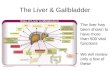 The Liver & Gallbladder The liver has been shown to have more than 500 vital functions We will review only a few of these