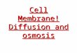 Cell Membrane! Diffusion and osmosis. The cell membrane Separates the cell from its surrounding environment Controls movement of materials into and out