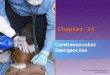 Chapter 14 Cardiovascular Emergencies. National EMS Education Standard Competencies (1 of 5) Pathophysiology Applies fundamental knowledge of the pathophysiology