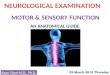 22.March.2012 Thursday. History Cerebral function (mental status) Cranial nerve function Motor function Sensory function Cerebellar function Reflex function