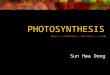 PHOTOSYNTHESIS Sun Hwa Dong. Photosynthesis Produces organic substances Uses light Energy, Simple inorganic substances Light Energy to Chemical Energy