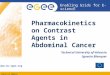 INFSO-RI-508833 Enabling Grids for E- sciencE  Pharmacokinetics on Contrast Agents in Abdominal Cancer Technical University of Valencia