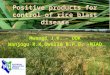 Positive products for control of rice blast disease Mwangi J.K, - UOK Wanjogu R.K,Owilla B.P.O, -MIAD