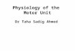Physiology of the Motor Unit Dr Taha Sadig Ahmed