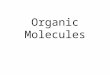 Organic Molecules. Carbon Compounds Organic Compounds –Must have Carbon (C)