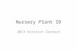 Nursery Plant ID 2013 District Contest. Arbor Vitae