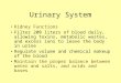 Urinary System Kidney Functions Filter 200 liters of blood daily, allowing toxins, metabolic wastes, and excess ions to leave the body in urine Regulate