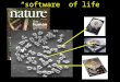 “software” of life. Genomes to function Lessons from genome projects Most genes have no known function Most genes w/ known function assigned from sequence-similarity