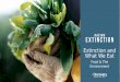 Extinction and What We Eat Food & The Environment