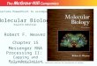 Molecular Biology Fourth Edition Chapter 15 Messenger RNA Processing II: Capping and Polyadenylation Lecture PowerPoint to accompany Robert F. Weaver Copyright