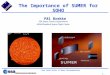 Four Solar Cycles of Space Instrumentation P. Brekke Pål Brekke ESA Space Science Department NASA/Goddard Space Flight Center The Importance of SUMER for