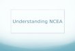 Understanding NCEA. Watch a video.webloc How to gain NCEA Level 1 – 80 credits at level 1 or above 10 credits Literacy and 10 credits Numeracy Level