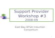 1 Support Provider Workshop #3 2008-09 East Bay BTSA Induction Consortium