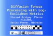 Diffusion Tensor Processing with Log-Euclidean Metrics Vincent Arsigny, Pierre Fillard, Xavier Pennec, Nicholas Ayache. Friday, September 23 rd, 2005