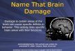 ActivePsych: Classroom Activities Project / Copyright © 2007 by Worth Publishers Name That Brain Damage Damage to certain areas of the brain can cause