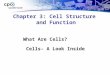 Chapter 3: Cell Structure and Function What Are Cells? Cells- A Look Inside