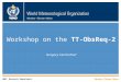 WMO Workshop on the TT-ObsReq-2 WMO: Research Department Gregory Carmichael