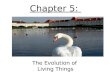 Chapter 5: The Evolution of Living Things Evolution Evolution – change of species over time
