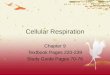 Cellular Respiration Chapter 9 Textbook Pages 220-239 Study Guide Pages 70-76