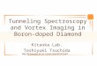 Tunneling Spectroscopy and Vortex Imaging in Boron- doped Diamond Kitaoka Lab. Toshiyuki Tsuchida Ref.)B.Sacepe et al. cond-mat/0510541