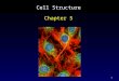 1 Cell Structure Chapter 5. 2 Cell Theory All organisms are composed of one or more cells. Cells are the smallest living units of all living organisms