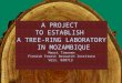 A PROJECT TO ESTABLISH A TREE-RING LABORATORY IN MOZAMBIQUE Mauri Timonen Finnish Forest Research Institute Vers. 030713