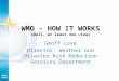 WMO – HOW IT WORKS (Well, at least one view) Geoff Love Director, Weather and Disaster Risk Reduction Services Department