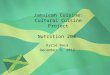 Jamaican Cuisine: Cultural Cuisine Project Nutrition 203 Kyrié Baca December 9, 2012