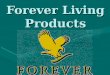 Forever Living Products. FLP was founded by Mr. Rex Maughan in 1978. For 30 years it has achieved the sales for $2 500 000 000. FLP works in 120 countries