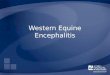 Western Equine Encephalitis. Overview Organism History Epidemiology Transmission Disease in Humans Disease in Animals Prevention and Control Actions to