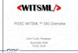 © Copyright 2005 POSC POSC WITSML™ SIG Overview John Turvill, Paradigm November 2005 POSC AGM