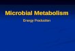 Microbial Metabolism Energy Production. Energy production Nutrient molecules have energy associated with the electrons that form bonds between atoms Nutrient