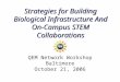 Strategies for Building Biological Infrastructure And On-Campus STEM Collaborations QEM Network Workshop Baltimore October 21, 2006