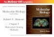 Molecular Biology Fourth Edition Chapter 4 Molecular Cloning Methods Lecture PowerPoint to accompany Robert F. Weaver Copyright © The McGraw-Hill Companies,