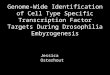Genome-Wide Identification of Cell Type Specific Transcription Factor Targets During Drosophilia Embyrogenesis Jessica Osterhout